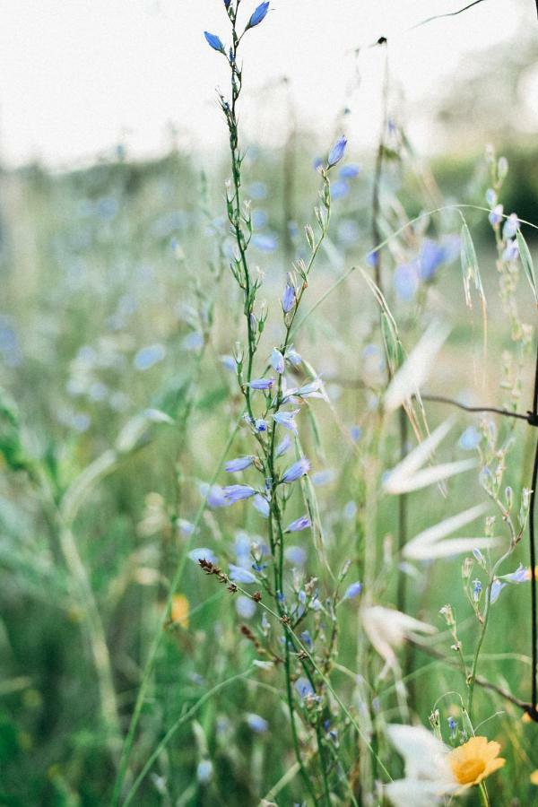 Agriturismo Vallerana กาปัลบีโอ ภายนอก รูปภาพ